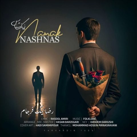 دانلود آهنگ رضا نیک فرجام نمک نشناس